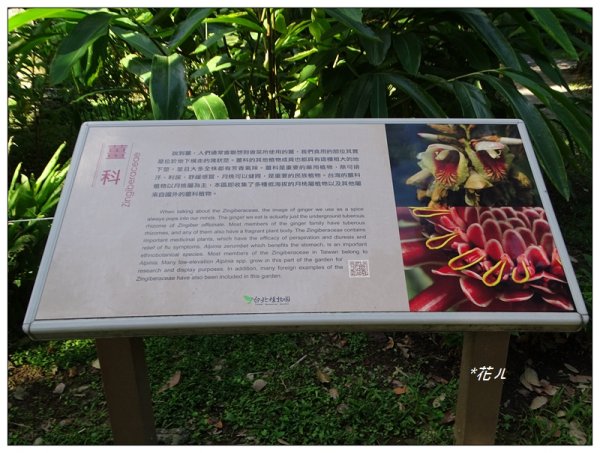 台北/植物園步道686761