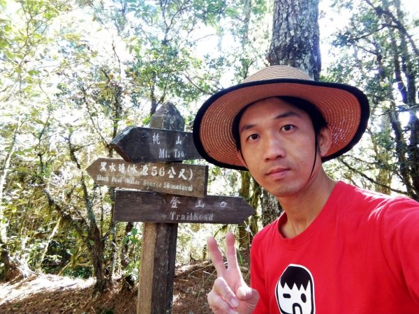 武陵四秀之桃山449057