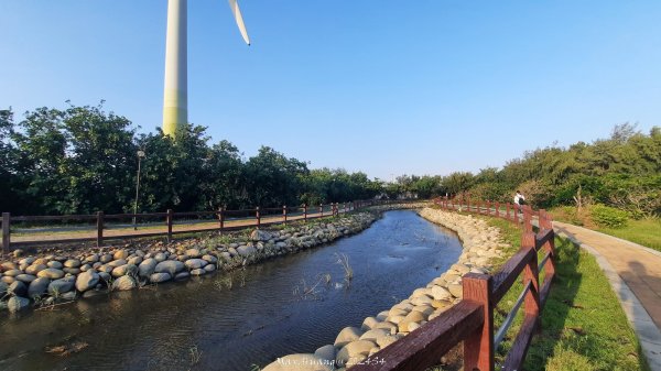 《台中》海濱夕陽｜龜殼生態公園連走大安紅樹林生態步道202410202632410