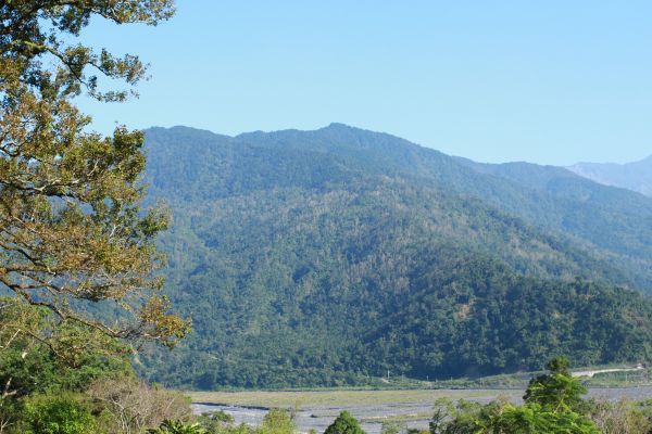 棲蘭森林浴步道194294