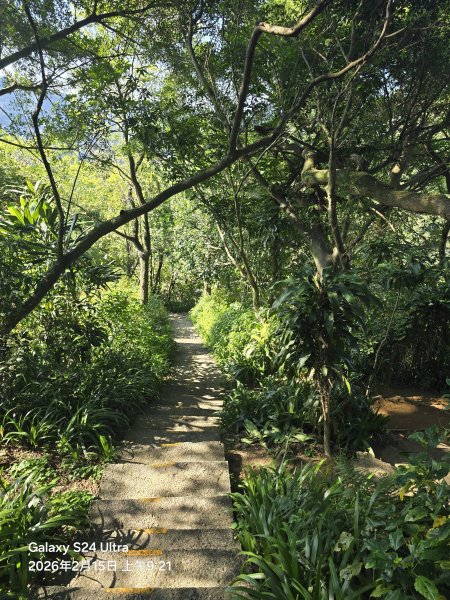 2026-02-15微笑山線：【天上山系】烘爐地土地公段3003989