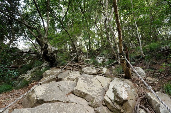 臺中 和平 屋我尾山、十文溪山2699443