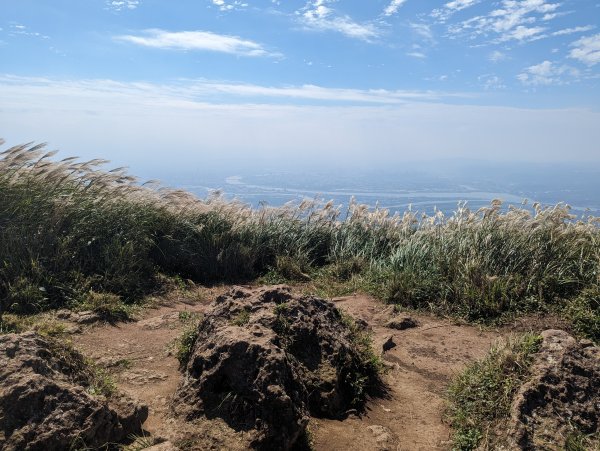 秋天賞芒行@大屯山連峰步道2318214