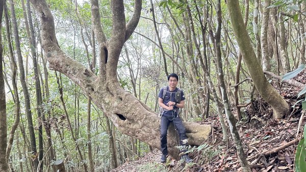 崩潰陡上的水雲三星～鳥嘴山（上島山）2095311