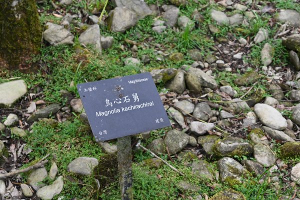 2025_0712 福山植物園2836310