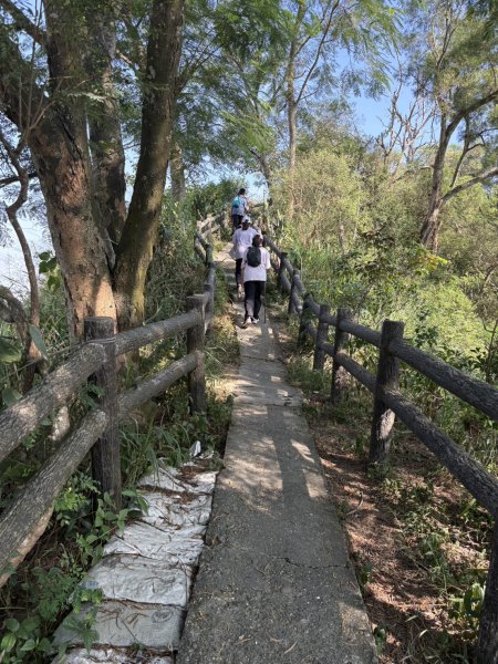 20251012高雄大社觀音山步道2915081