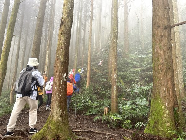 年輕人爬山趣～油羅山 4/15 20232160355