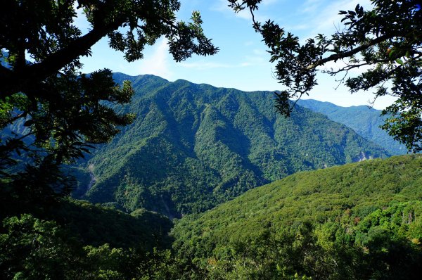 苗栗 泰安 虎山3118669