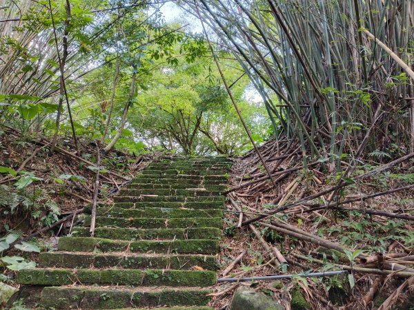 雙溪區聖南寺朝山古道+大竹林山(未果)2963583