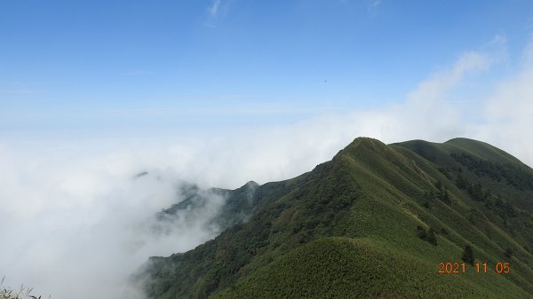 秋高氣爽芒花季 - 陽明山再見雲海1503948