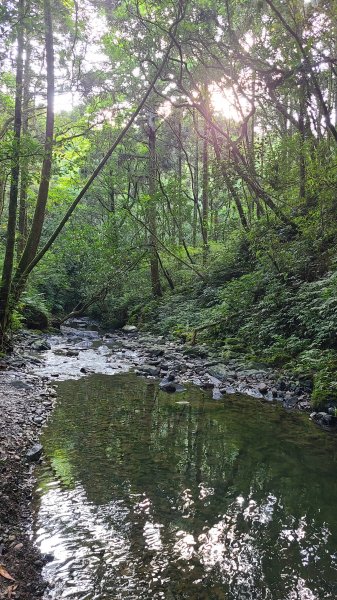 新北雙溪-坪溪古道2121448