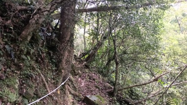 雙溪區烏山越嶺古道西段3073323