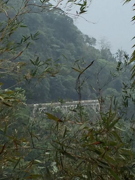 嘉義獨立山174174