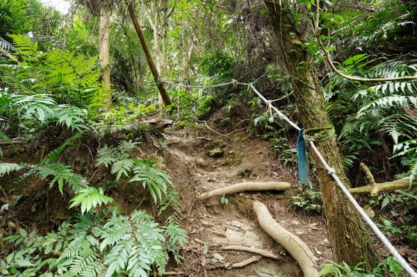 新竹 峨嵋 獅頭山、獅尾山、六寮山、猿山2450082