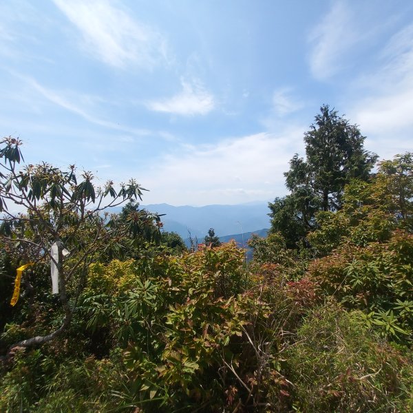 塔魔巴魔塔2698674