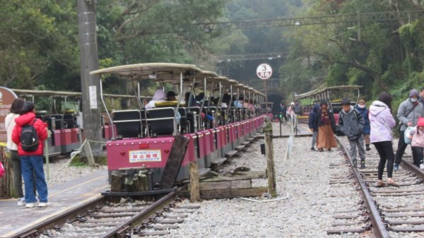 《苗栗》台鐵舊山線｜三義勝興鐵道覓境及挑柴古道O繞202501192693565