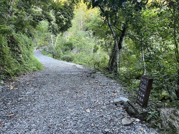 [玉山尋寶任務-03/12] 2025_0810 瓦拉米步道2857363