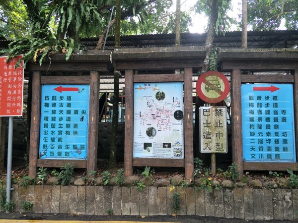 2019 11 14 竹子尖山步道735155