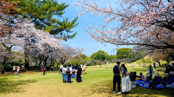 熊本水前寺成趣園,熊本城3028455