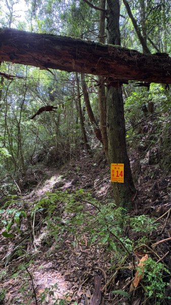 林鐵遺跡2878206