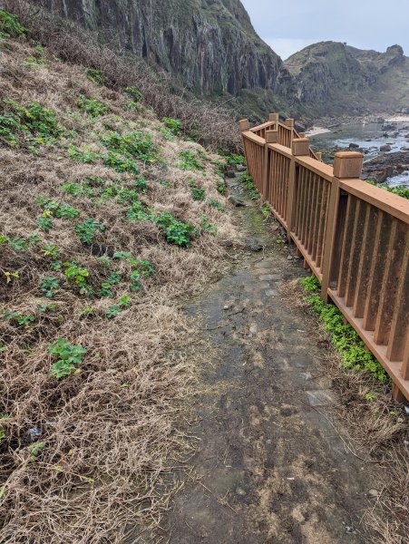 2023-02-11 八斗子潮境公園、環保復育公園步道2792569