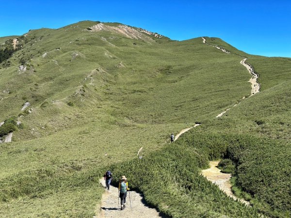 合歡北峰 盛夏之美2544950