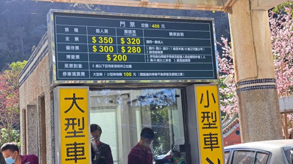 水漾森林、鹿屈山、眠月神木2729632