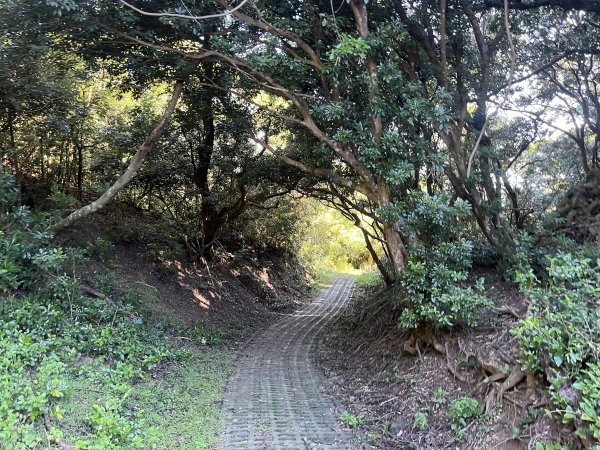 [屏步青雲 尋寶任務-07/10] 2024_1006 社頂自然公園步道2616876