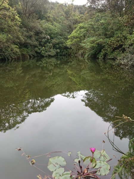 璀璨百年淡蘭古道～崩山坑古道、溪尾寮山、保城坑古道、虎豹潭步道O走1313462