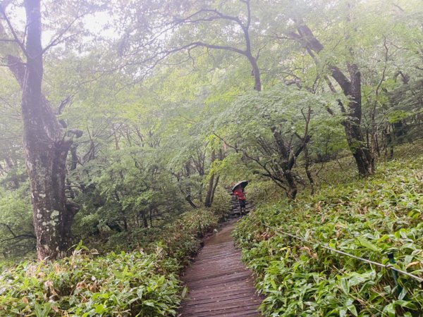 1140811 KR 漢拏山杜鵑花田避難所-紗羅岳觀景臺2860458