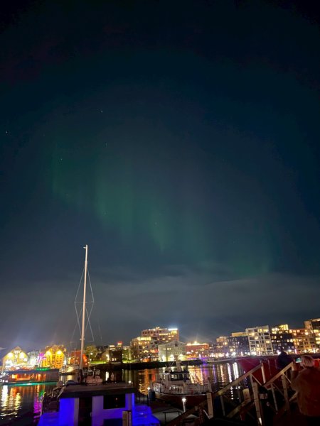 Norway-Lofoten Islands Ballstad,Tromso追極光2917828