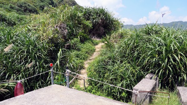 中山峽谷步道,海興步道,情人湖登山步道2581355