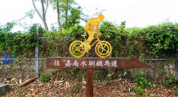 《臨江仙。黃花風鈴木》2735409