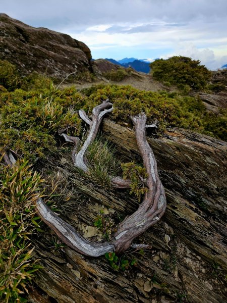 合歡北峰步道-(南投)臺灣百大必訪步道2795028