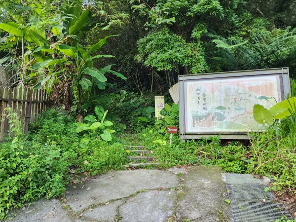 20240707馬胎古道2780975