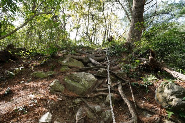 臺中 和平 屋我尾山、十文溪山2699447