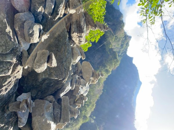 白楊步道封面