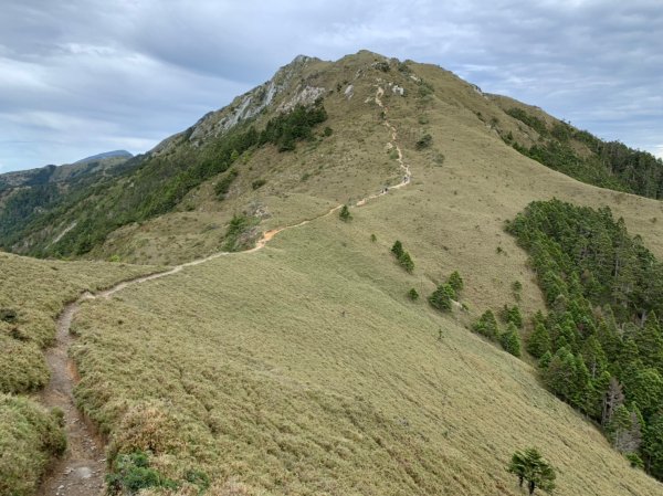 20220625台東海端向陽山、向陽山北峰、三叉山、嘉明湖1745550