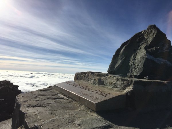 玉山西峰、主峰行452259