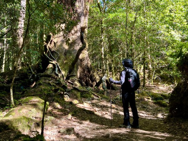 船型山環走大雪山210林道2978037