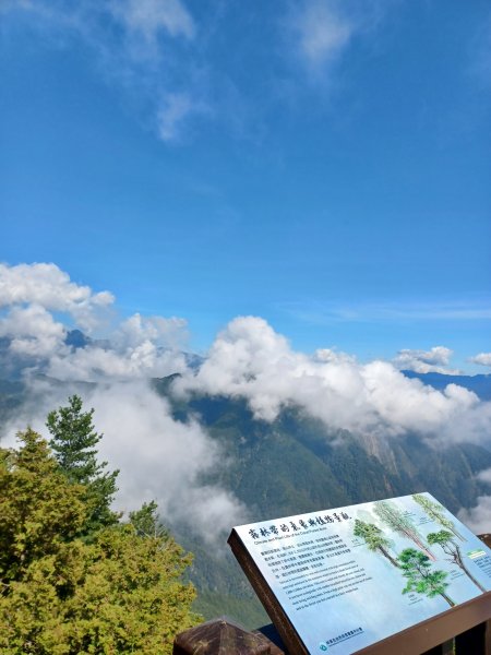 【台中和平】大雪山啞口觀景台步道2933088