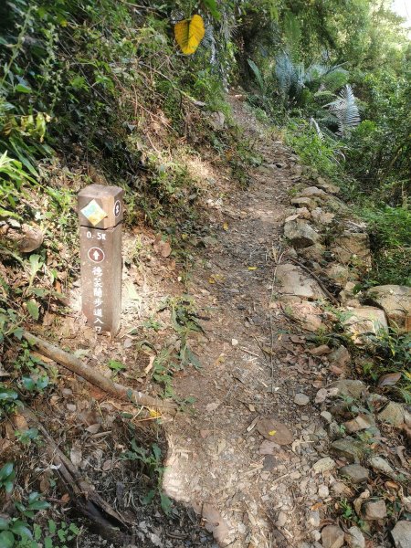 德芙蘭生態步道-綠蔭遮陽，涼風徐徐避暑道1049640