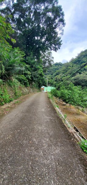 2024-06-15觀音山【福隆山、尖山(占山)登山步道】O走2528207