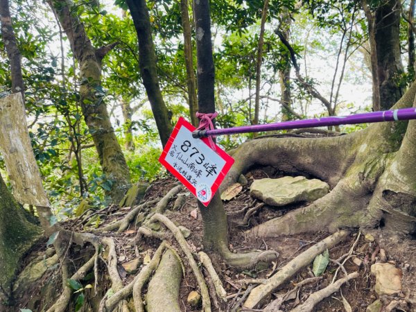 1140319仙山-仙山南峰2738257