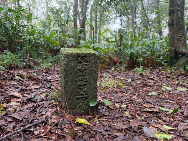 新北 汐止 柯子林橋-柯子林天然泳池-友蚋山南峰-友蚋山-新山-夢湖-柯子林橋2988390