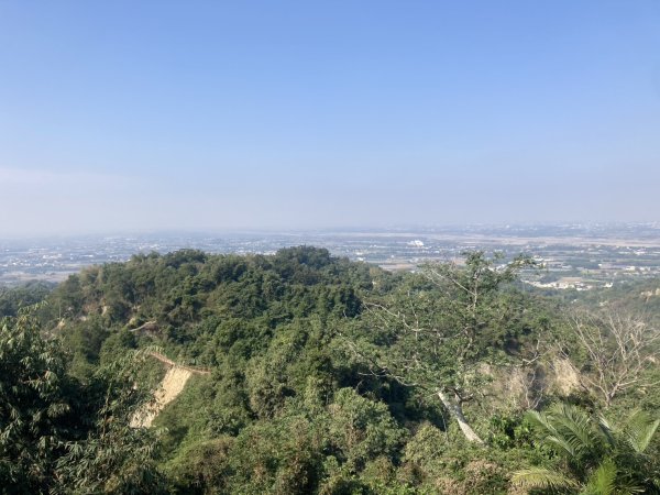 龍過脈森林步道2975680