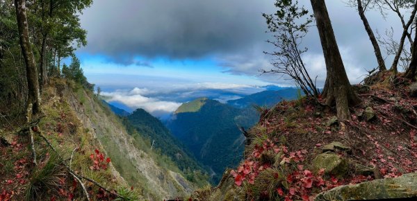 走在浪漫的紅地毯～稍來、烏石坑山2385301