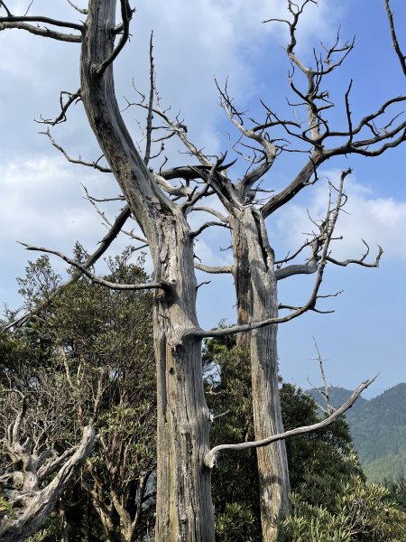 2020/03/12 那結山＆貴妃山 O形縱走1650334