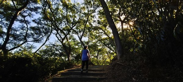 2025/11/09-青青草原步道2933454