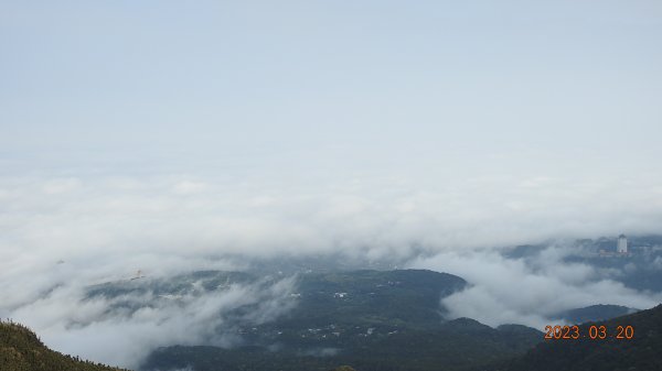 陽明山再見雲海，天空之城 ? 水淹金山寺 ? 3/202079982